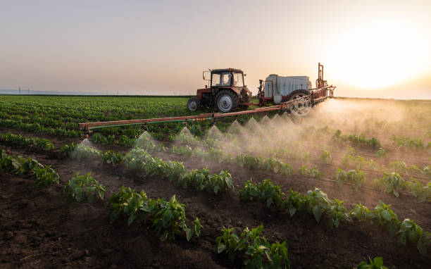 Pest Control for Restaurants in Fisher, IL