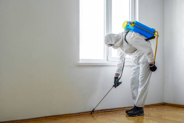 Best Local Pest Control Services  in Fisher, IL