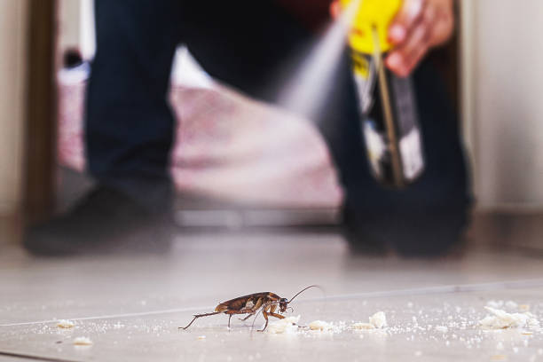 Best Rodent Control Near Me  in Fisher, IL