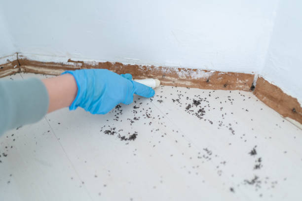 Best Cockroach Control Services  in Fisher, IL