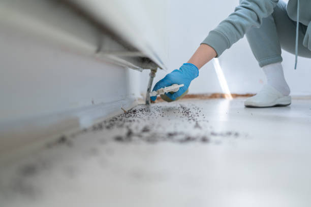 Best Mosquito Control Services  in Fisher, IL